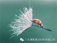 【博皓感悟】成功，要“借力”，不要“盡力”
